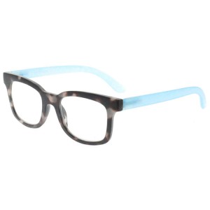 Plastic Reading Glasses